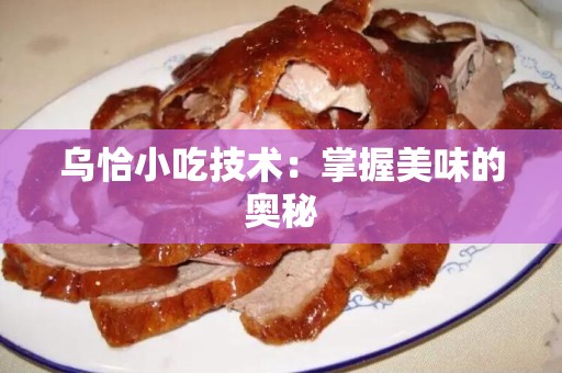 乌恰小吃技术：掌握美味的奥秘