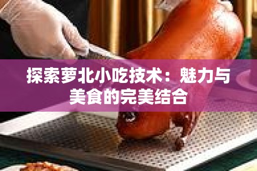 探索萝北小吃技术：魅力与美食的完美结合