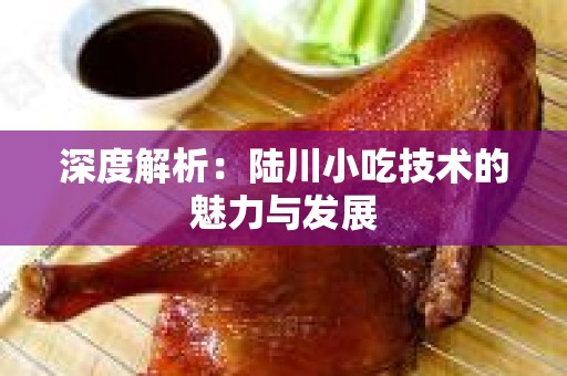 深度解析：陆川小吃技术的魅力与发展