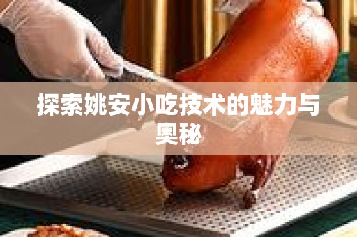 探索姚安小吃技术的魅力与奥秘