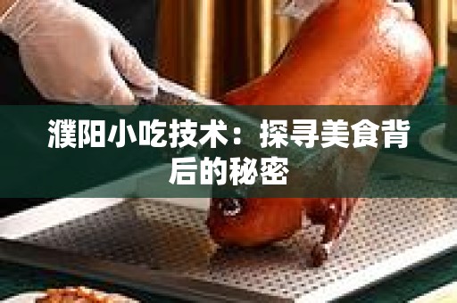 濮阳小吃技术：探寻美食背后的秘密