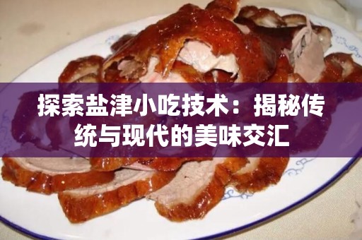 探索盐津小吃技术：揭秘传统与现代的美味交汇