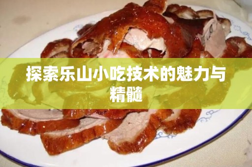 探索乐山小吃技术的魅力与精髓
