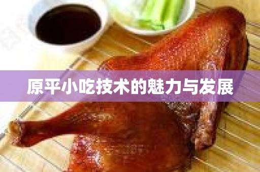 原平小吃技术的魅力与发展