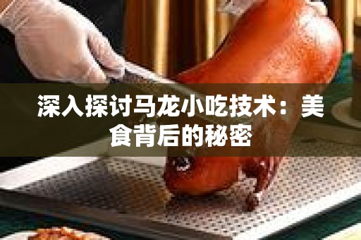 深入探讨马龙小吃技术：美食背后的秘密