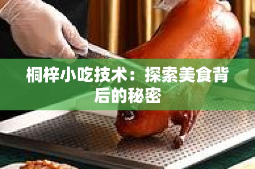 桐梓小吃技术：探索美食背后的秘密