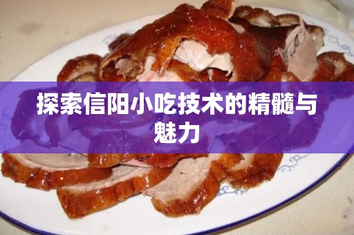 探索信阳小吃技术的精髓与魅力