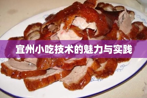 宜州小吃技术的魅力与实践
