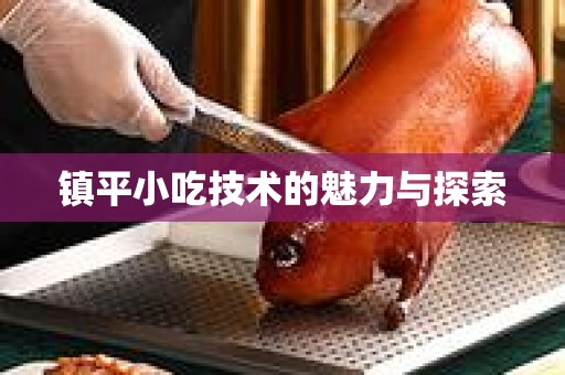 镇平小吃技术的魅力与探索