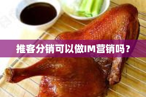 推客分销可以做IM营销吗？