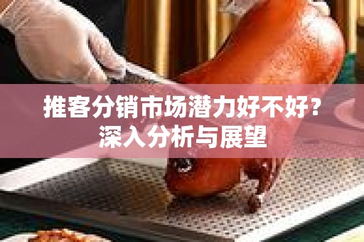 推客分销市场潜力好不好？深入分析与展望