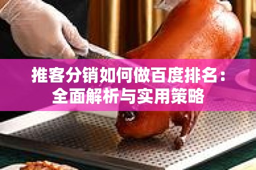 推客分销如何做百度排名：全面解析与实用策略