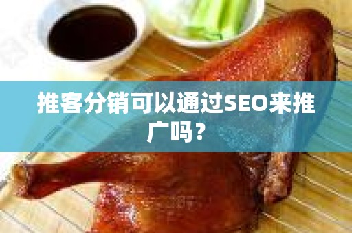 推客分销可以通过SEO来推广吗？