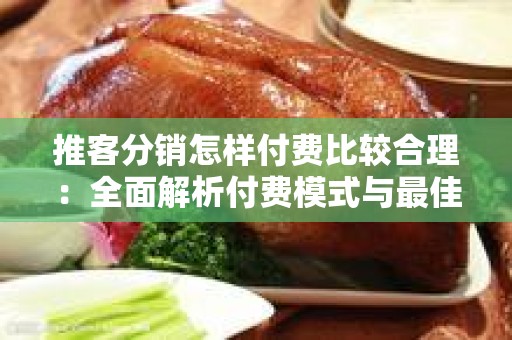 推客分销怎样付费比较合理：全面解析付费模式与最佳实践