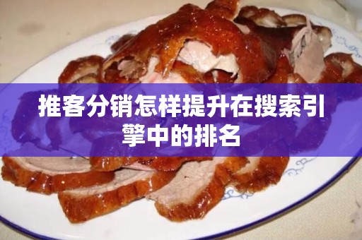 推客分销怎样提升在搜索引擎中的排名