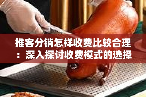 推客分销怎样收费比较合理：深入探讨收费模式的选择