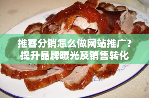 推客分销怎么做网站推广？提升品牌曝光及销售转化