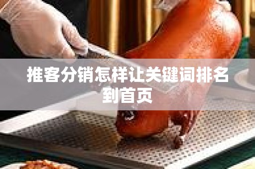 推客分销怎样让关键词排名到首页