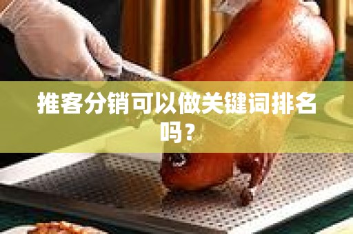推客分销可以做关键词排名吗？