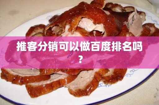 推客分销可以做百度排名吗？