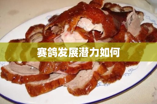 赛鸽发展潜力如何