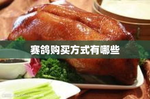 赛鸽购买方式有哪些