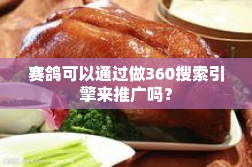赛鸽可以通过做360搜索引擎来推广吗？