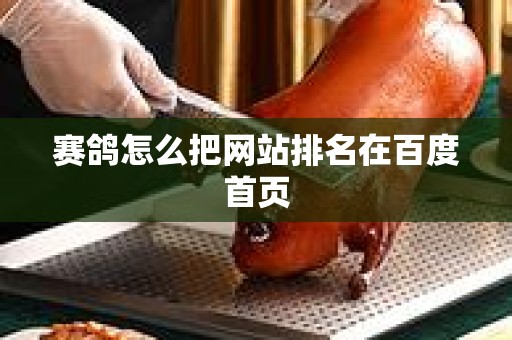 赛鸽怎么把网站排名在百度首页