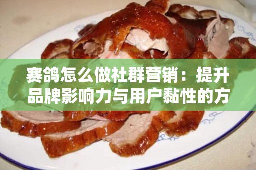 赛鸽怎么做社群营销：提升品牌影响力与用户黏性的方法探讨