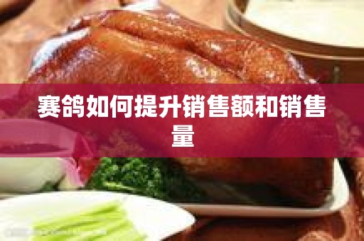 赛鸽如何提升销售额和销售量