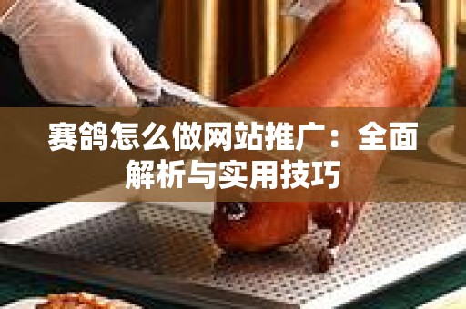 赛鸽怎么做网站推广：全面解析与实用技巧