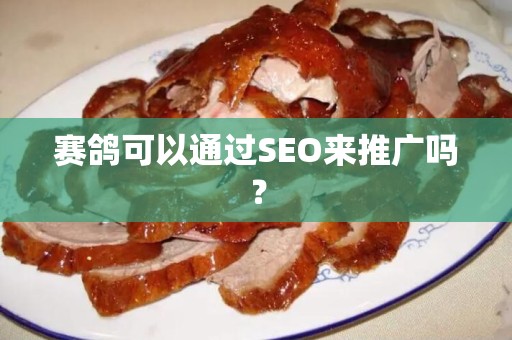 赛鸽可以通过SEO来推广吗？