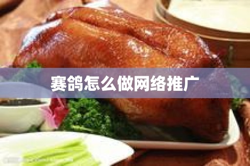 赛鸽怎么做网络推广