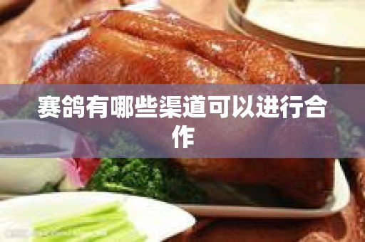 赛鸽有哪些渠道可以进行合作