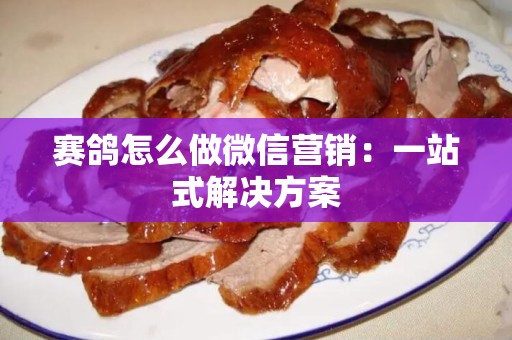 赛鸽怎么做微信营销：一站式解决方案