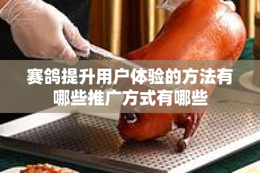 赛鸽提升用户体验的方法有哪些推广方式有哪些