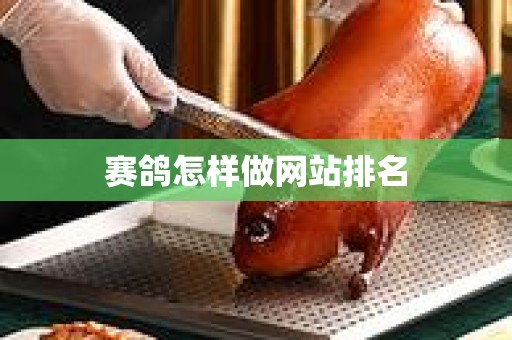 赛鸽怎样做网站排名