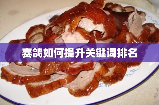 赛鸽如何提升关键词排名