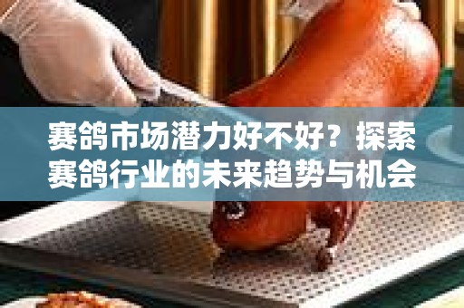 赛鸽市场潜力好不好？探索赛鸽行业的未来趋势与机会