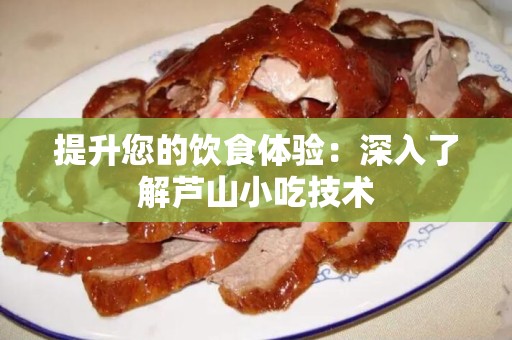 提升您的饮食体验：深入了解芦山小吃技术
