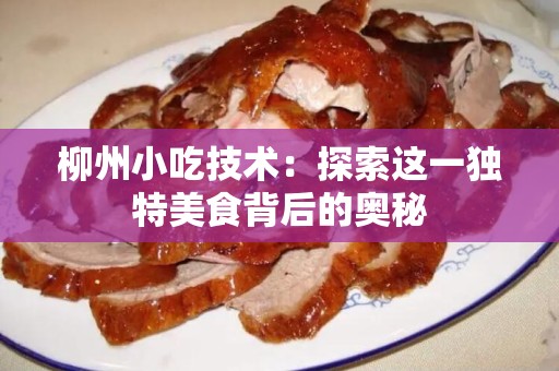 柳州小吃技术：探索这一独特美食背后的奥秘
