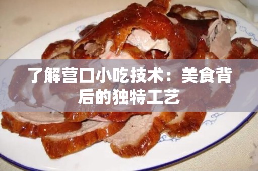 了解营口小吃技术：美食背后的独特工艺