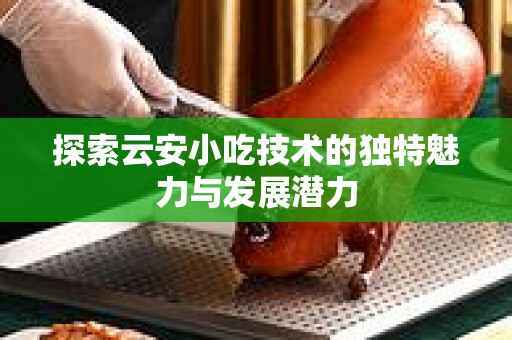 探索云安小吃技术的独特魅力与发展潜力