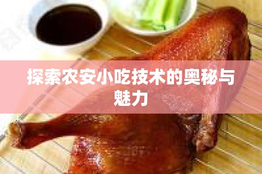 探索农安小吃技术的奥秘与魅力