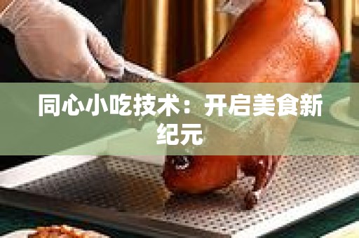 同心小吃技术：开启美食新纪元