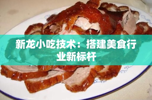新龙小吃技术：搭建美食行业新标杆
