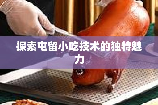 探索屯留小吃技术的独特魅力