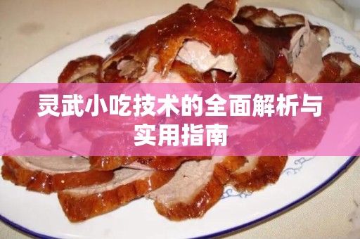 灵武小吃技术的全面解析与实用指南